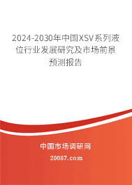 2023-2029年中国XSV系列液位行业发展研究及市场前景预测报告 2023-2029年中国XSV系列液位行业发展研究及市场前景预测报告