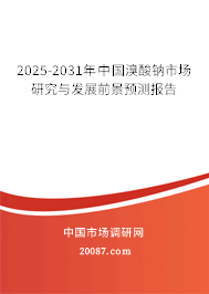 2025-2031年中国溴酸钠市场研究与发展前景预测报告 2025-2031年中国溴酸钠市场研究与发展前景预测报告
