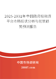 2025-2031年中国政府投融资平台市场现状分析与前景趋势预测报告 2025-2031年中国政府投融资平台市场现状分析与前景趋势预测报告