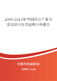 2009-2013年中国培训产业深度调研与投资战略分析报告