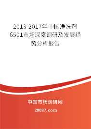 2013-2017年中国净洗剂6501市场深度调研及发展趋势分析报告