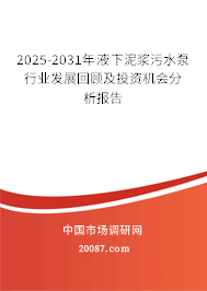 2025-2031年液下泥浆污水泵行业发展回顾及投资机会分析报告 2025-2031年液下泥浆污水泵行业发展回顾及投资机会分析报告