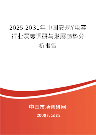 2025-2031年中国安规Y电容行业深度调研与发展趋势分析报告