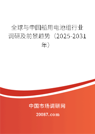 全球与中国船用电池组行业调研及前景趋势（2025-2031年）