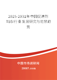 2025-2031年中国促进剂TBSI行业发展研究与前景趋势