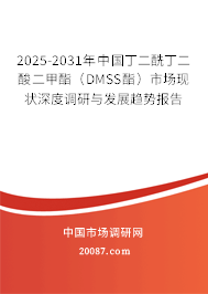 2025-2031年中国丁二酰丁二酸二甲酯（DMSS酯）市场现状深度调研与发展趋势报告