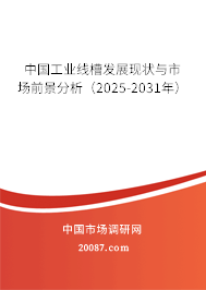 中国工业线槽发展现状与市场前景分析（2025-2031年）