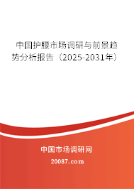 中国护腰市场调研与前景趋势分析报告（2025-2031年）