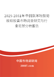 2025-2031年中国氯苯唑酸葡胺软胶囊市场调查研究与行业前景分析报告