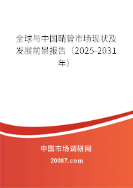 全球与中国鞘管市场现状及发展前景报告(2025-2031年) 全球与中国鞘管市场现状及发展前景报告(2025-2031年)