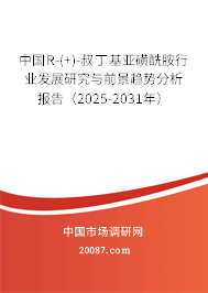 中国R-(+)-叔丁基亚磺酰胺行业发展研究与前景趋势分析报告（2025-2031年）