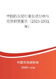 中国石灰窑行业现状分析与前景趋势报告（2025-2031年）