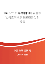 2025-2031年中国网络安全市场调查研究及发展趋势分析报告 2025-2031年中国网络安全市场调查研究及发展趋势分析报告
