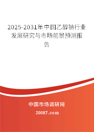 2025-2031年中国乙醇钠行业发展研究与市场前景预测报告 2025-2031年中国乙醇钠行业发展研究与市场前景预测报告