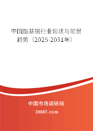 中国酯基锡行业现状与前景趋势(2025-2031年) 中国酯基锡行业现状与前景趋势(2025-2031年)