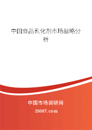 中国食品乳化剂市场战略分析