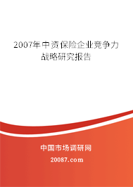 2007年中资保险企业竞争力战略研究报告
