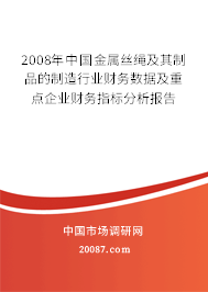 2008年中国金属丝绳及其制品的制造行业财务数据及重点企业财务指标分析报告 2008年中国金属丝绳及其制品的制造行业财务数据及重点企业财务指标分析报告