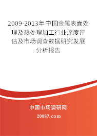 2009-2013年中国金属表面处理及热处理加工行业深度评估及市场调查数据研究发展分析报告