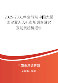 2025-2031年全球与中国大型固定翼无人机市场调查研究及前景趋势报告