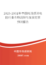 2025-2031年中国电流感测电阻行业市场调研与发展前景预测报告