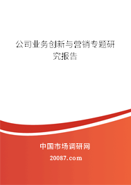 公司业务创新与营销专题研究报告