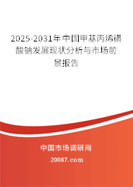 2025-2031年中国甲基丙烯磺酸钠发展现状分析与市场前景报告 2025-2031年中国甲基丙烯磺酸钠发展现状分析与市场前景报告