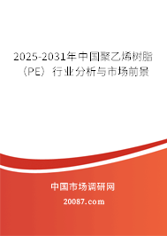 2025-2031年中国聚乙烯树脂（PE）行业分析与市场前景