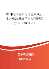 中国能源监测与计量系统行业分析及发展前景预测报告（2025-2031年）