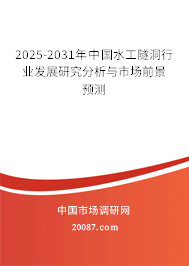 2025-2031年中国水工隧洞行业发展研究分析与市场前景预测