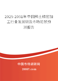 2025-2031年中国稀土精密加工行业发展研及市场前景预测报告
