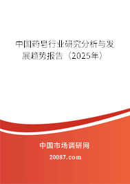 中国药皂行业研究分析与发展趋势报告（2025年）