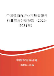 中国樟脑丸行业市场调研与行业前景分析报告（2025-2031年）