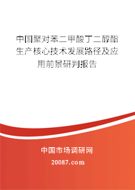 中国聚对苯二甲酸丁二醇酯生产核心技术发展路径及应用前景研判报告 中国聚对苯二甲酸丁二醇酯生产核心技术发展路径及应用前景研判报告