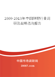 2009-2013年中国钾肥行业调研及战略咨询报告 2009-2013年中国钾肥行业调研及战略咨询报告