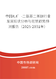 中国4,4’-二氨基二苯醚行业发展现状分析与前景趋势预测报告（2025-2031年）
