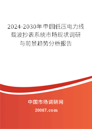 2024-2030年中国低压电力线载波抄表系统市场现状调研与前景趋势分析报告 2024-2030年中国低压电力线载波抄表系统市场现状调研与前景趋势分析报告