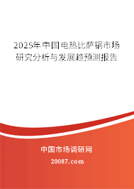 2025年中国电热比萨锅市场研究分析与发展趋预测报告