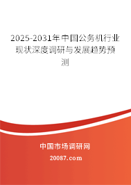 2025-2031年中国公务机行业现状深度调研与发展趋势预测
