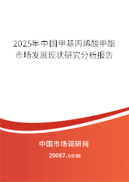 2025年中国甲基丙烯酸甲酯市场发展现状研究分析报告 2025年中国甲基丙烯酸甲酯市场发展现状研究分析报告