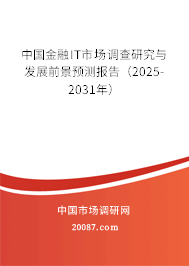 中国金融IT市场调查研究与发展前景预测报告（2025-2031年）