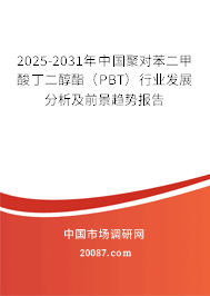 2025-2031年中国聚对苯二甲酸丁二醇酯（PBT）行业发展分析及前景趋势报告
