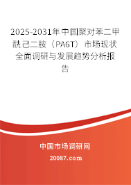 2025-2031年中国聚对苯二甲酰己二胺(PA6T)市场现状全面调研与发展趋势分析报告 2025-2031年中国聚对苯二甲酰己二胺(PA6T)市场现状全面调研与发展趋势分析报告