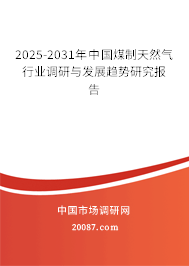2025-2031年中国煤制天然气行业调研与发展趋势研究报告 2025-2031年中国煤制天然气行业调研与发展趋势研究报告