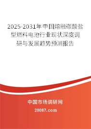 2025-2031年中国熔融碳酸盐型燃料电池行业现状深度调研与发展趋势预测报告