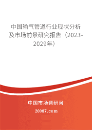 �й������ܵ���ҵ��״�������г�ǰ���о����棨2023-2029�꣩