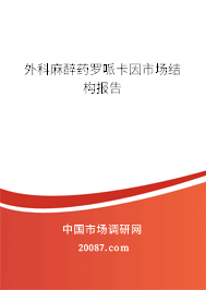 外科麻醉药罗哌卡因市场结构报告 外科麻醉药罗哌卡因市场结构报告