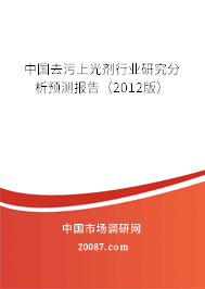 中国去污上光剂行业研究分析预测报告（2012版）