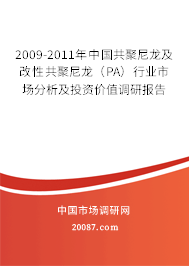 2009-2011年中国共聚尼龙及改性共聚尼龙（PA）行业市场分析及投资价值调研报告