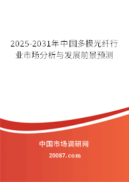 2025-2031年中国多模光纤行业市场分析与发展前景预测
